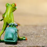 Kan jeg bruge et rejsestrygejern til at stryge alle typer stof?